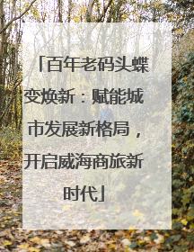 百年老码头蝶变焕新：赋能城市发展新格局，开启威海商旅新时代